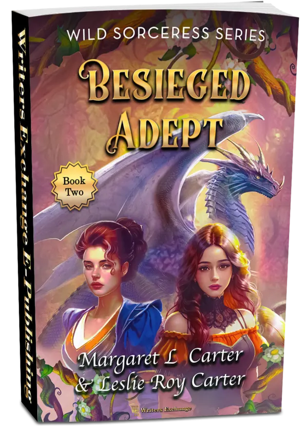 Besieged Adept
