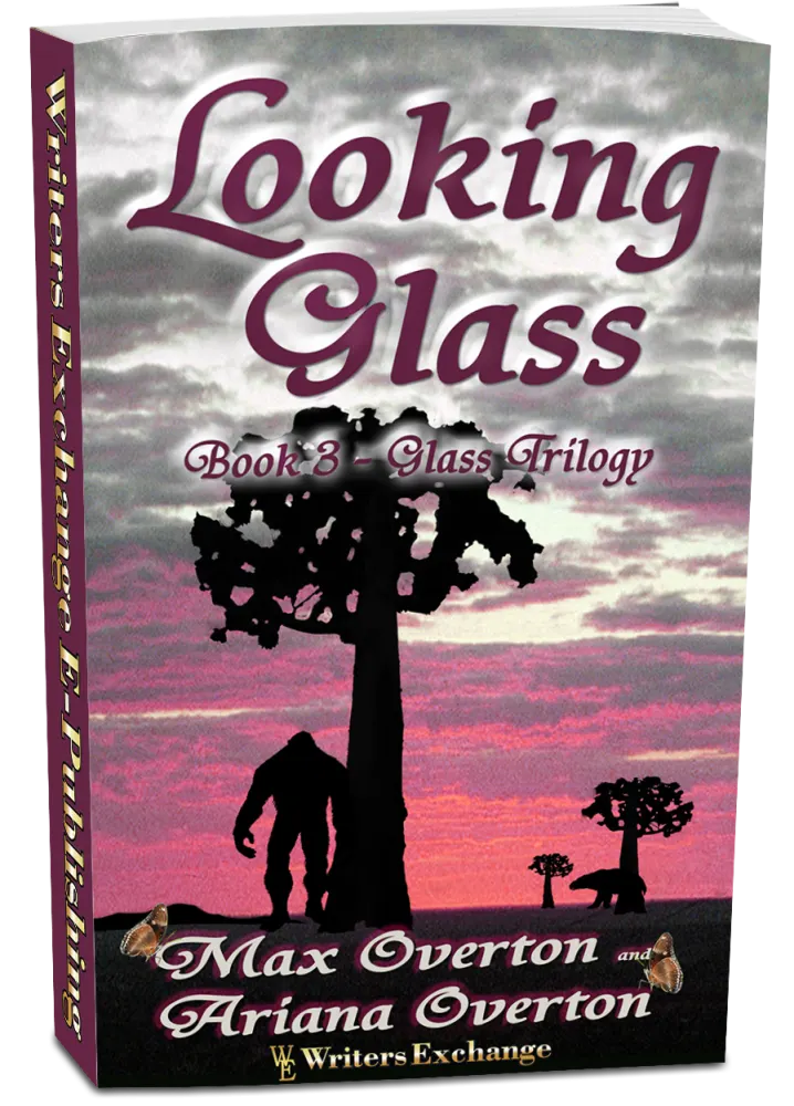 Looking Glass