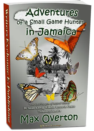 Adventures of a Small Game Hunter in Jamaica