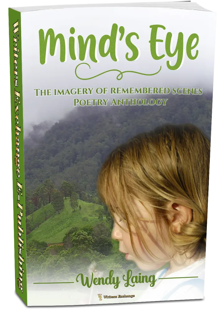 Mind's Eye - The imagery of remembered scenes