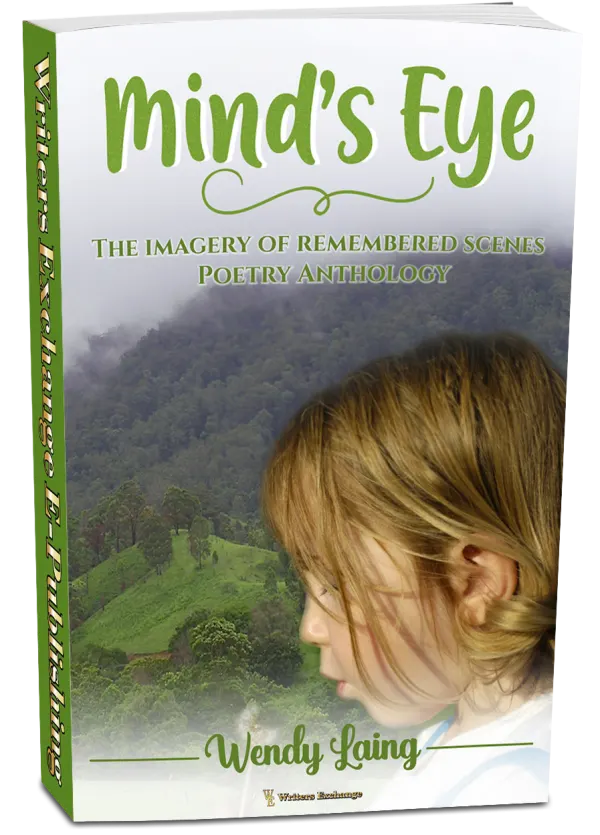 Mind's Eye - The imagery of remembered scenes