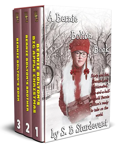 A Bernie Bolton Book Series