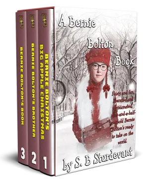 A Bernie Bolton Book Series