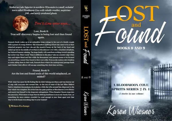 Lost and Found print edition