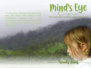 Mind's Eye - The imagery of remembered scenes